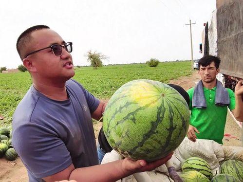 社会摇吃瓜网